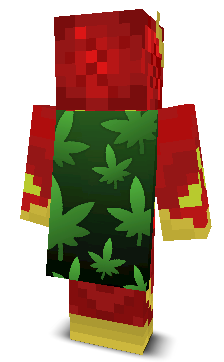 Back angle of Minecraft Skin of TrentinTheKid