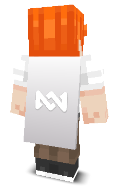 Back angle of Minecraft Skin of Wowy