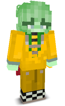 User's Minecraft appearance