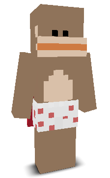 User's Minecraft appearance