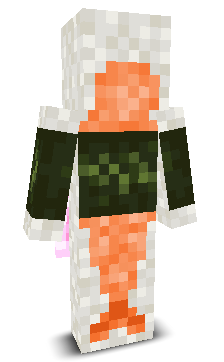 User's Minecraft appearance