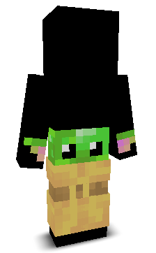 User's Minecraft appearance