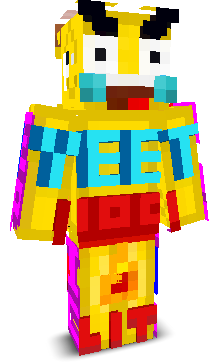User's Minecraft appearance