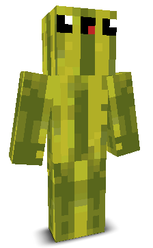 User's Minecraft appearance