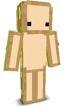 User's Minecraft appearance