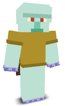 User's Minecraft appearance