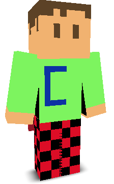 User's Minecraft appearance