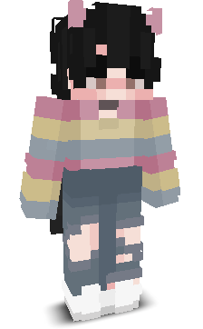 User's Minecraft appearance