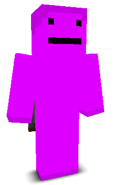 User's Minecraft appearance