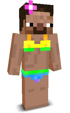 User's Minecraft appearance