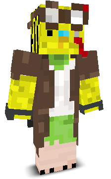 User's Minecraft appearance