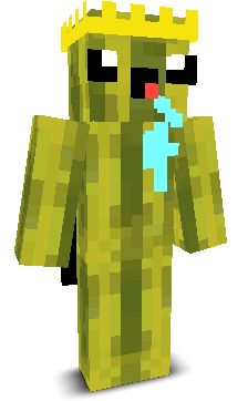 User's Minecraft appearance