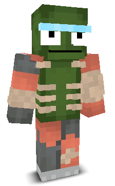 User's Minecraft appearance