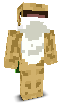 User's Minecraft appearance