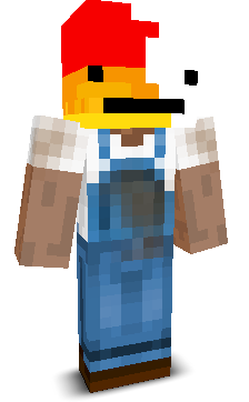 User's Minecraft appearance