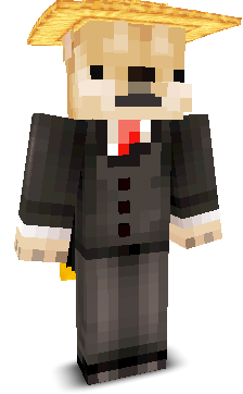 User's Minecraft appearance