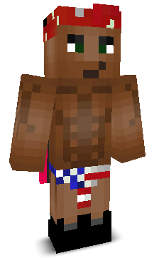 User's Minecraft appearance