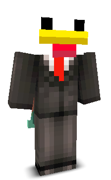 User's Minecraft appearance