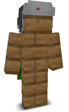User's Minecraft appearance