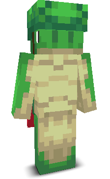 User's Minecraft appearance