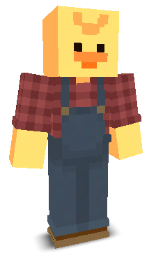 User's Minecraft appearance