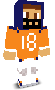 User's Minecraft appearance