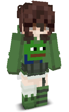 User's Minecraft appearance