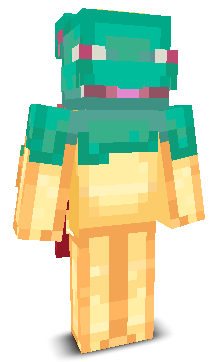 User's Minecraft appearance
