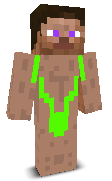 User's Minecraft appearance