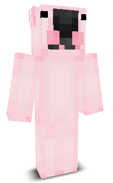 User's Minecraft appearance