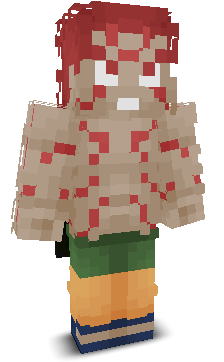 User's Minecraft appearance