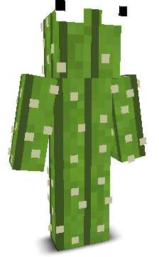 User's Minecraft appearance