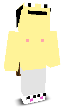 User's Minecraft appearance
