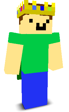User's Minecraft appearance