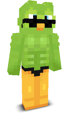 User's Minecraft appearance