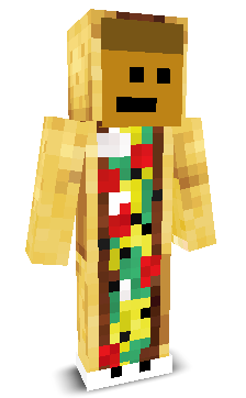 User's Minecraft appearance
