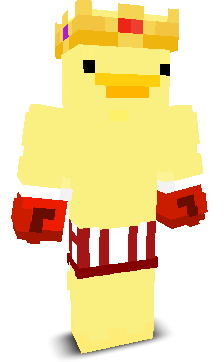 User's Minecraft appearance