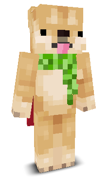User's Minecraft appearance