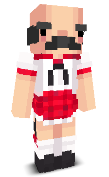 User's Minecraft appearance