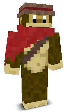 User's Minecraft appearance
