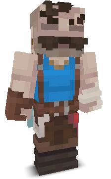 User's Minecraft appearance