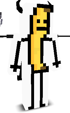 User's Minecraft appearance