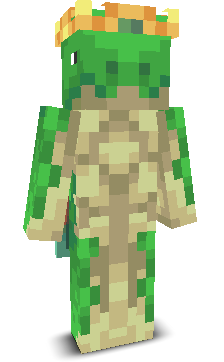 User's Minecraft appearance