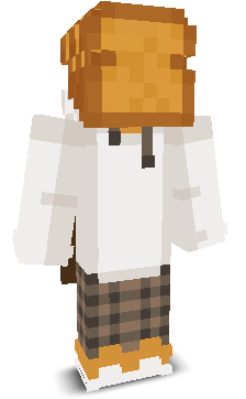 User's Minecraft appearance