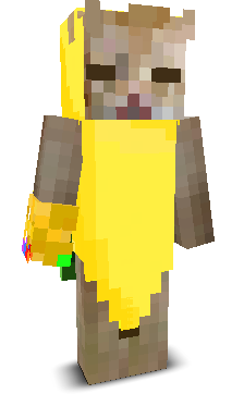 User's Minecraft appearance