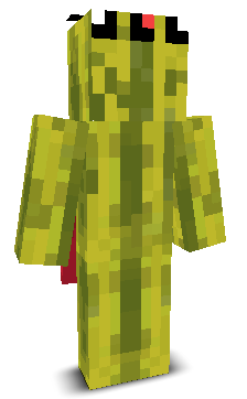 User's Minecraft appearance