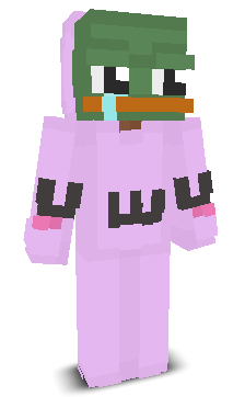 User's Minecraft appearance