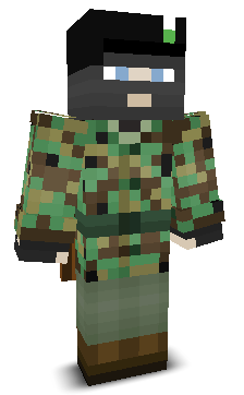 User's Minecraft appearance