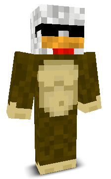 User's Minecraft appearance