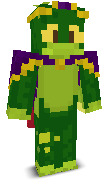 User's Minecraft appearance